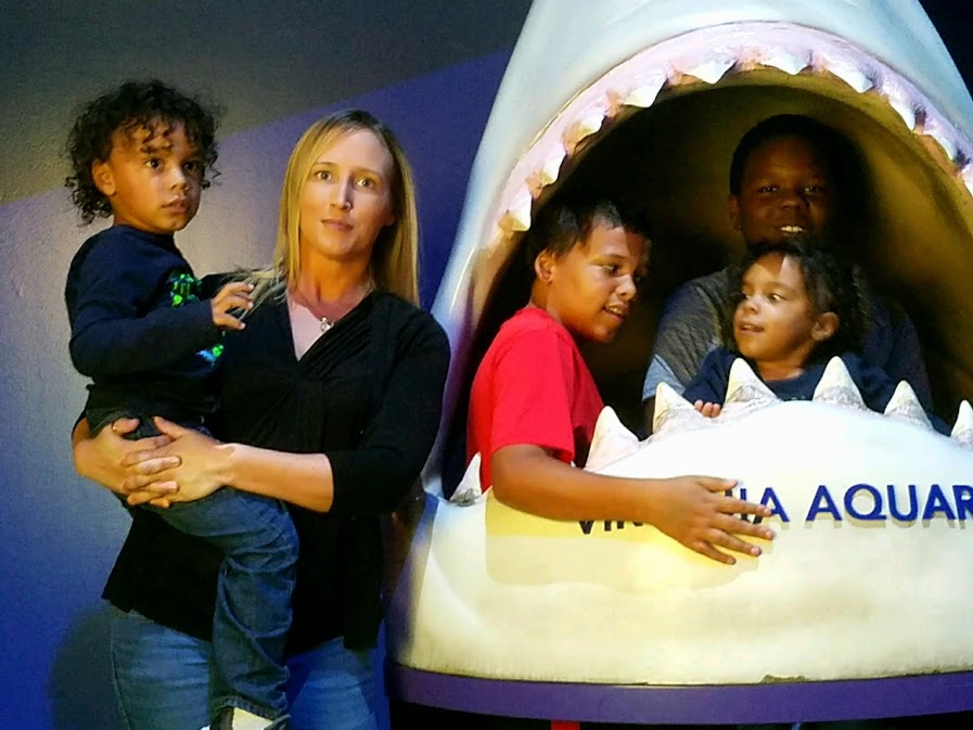 shark