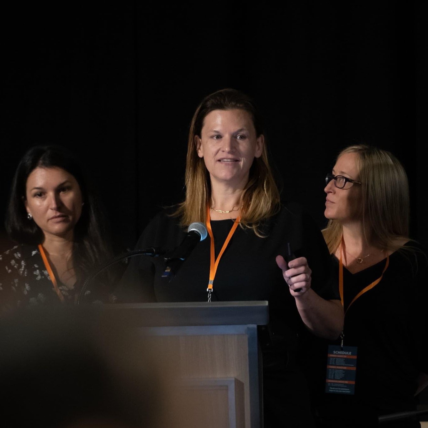Three white-presenting women,Kate, Catherine, and Meghan, are standing at a podium. We were presenting for the Arc of Virginia's State Convention.